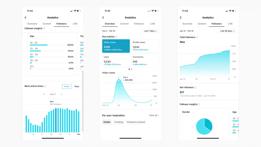 TikTok internal insights.
